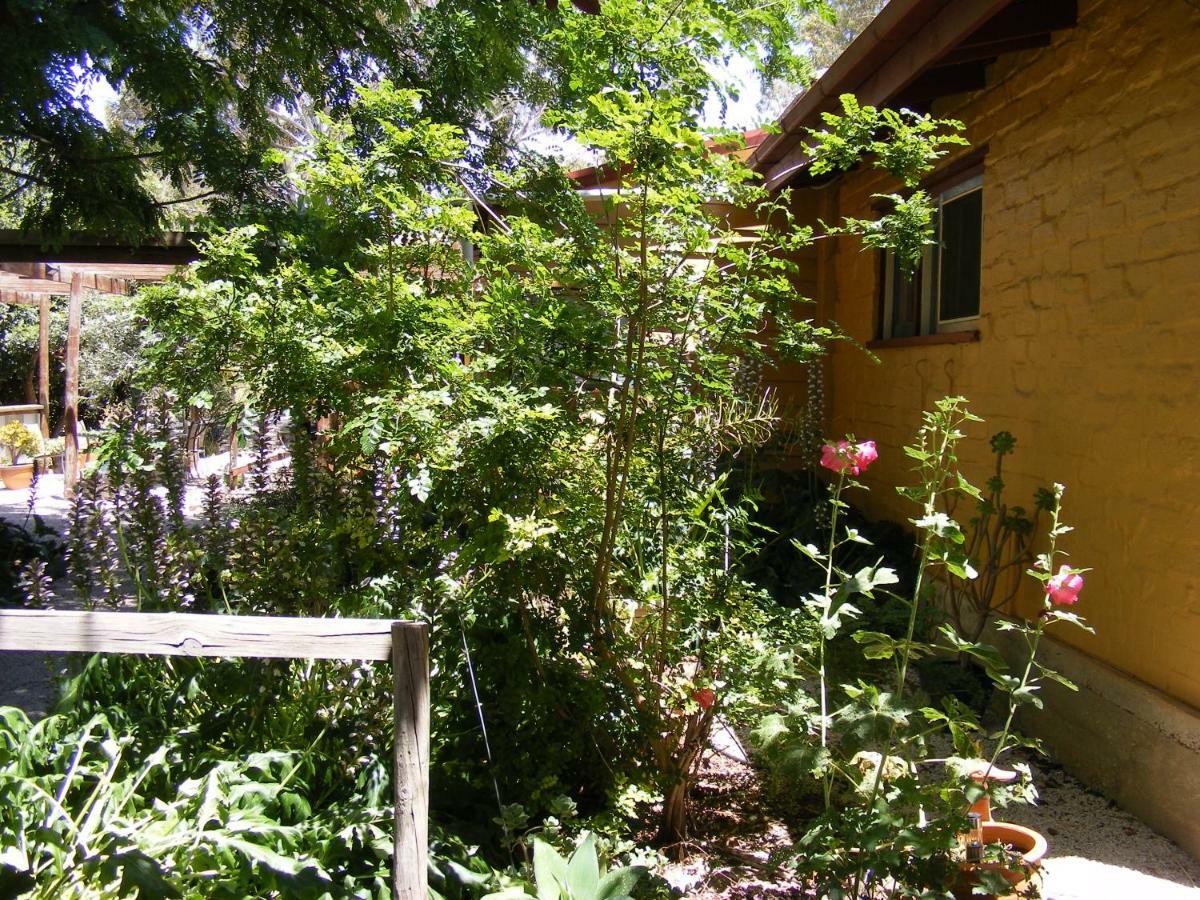 Trevalia Accommodation Penwortham Εξωτερικό φωτογραφία